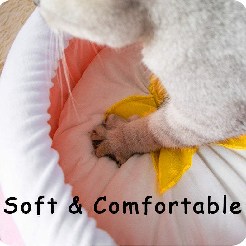 Bee Jar Pet Bed for Cats & Small Dogs | Cozy Plush Pet Bedding