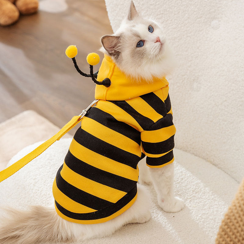 Cat Bee Antennae Costume Hoodie for Small Pets