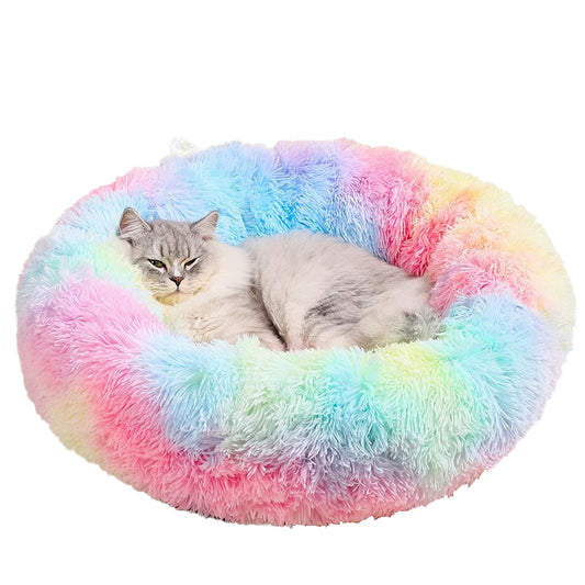 Plush colorful soft cat bed for comfortable sleep